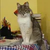 Отзыв от Алена Чернышева